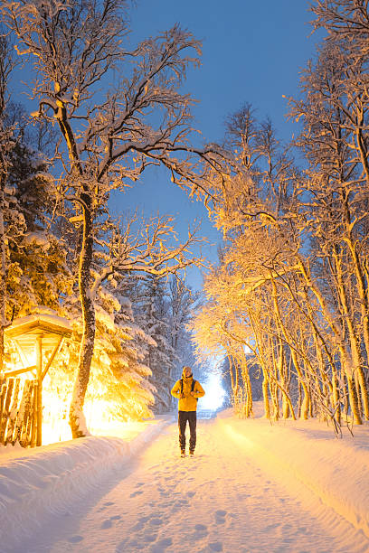 Person walking on a forest trail in Norway