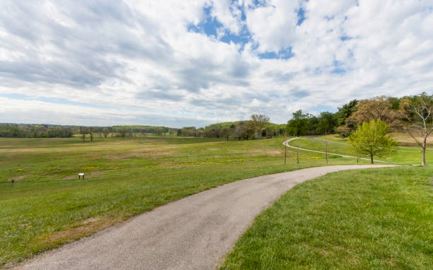 Open natural landscape with walking path